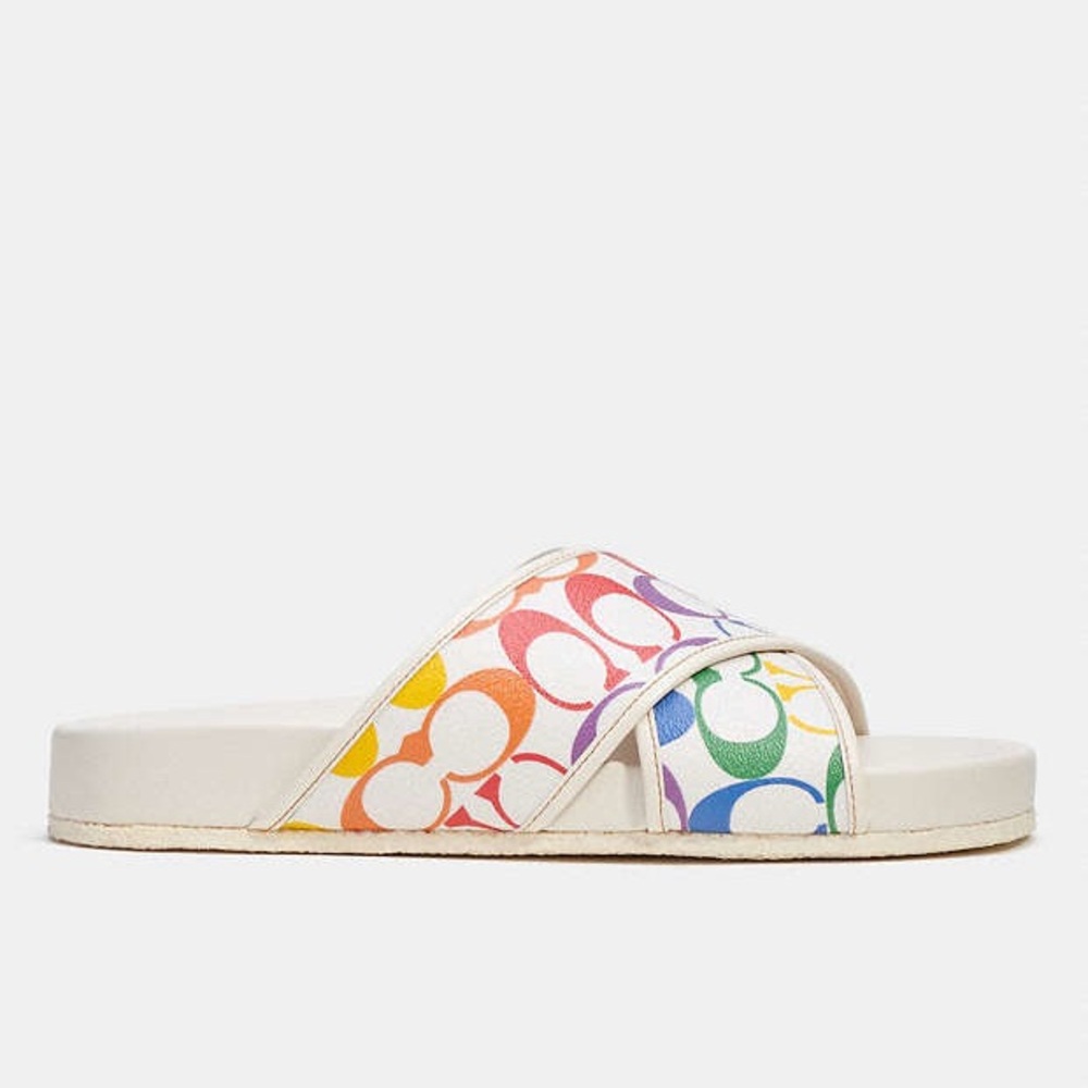 EUC Coach Rainbow Slides